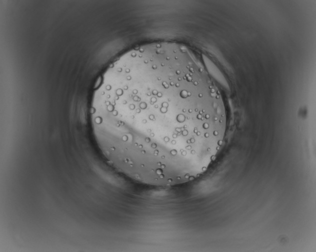 X0000094350068200711241924
