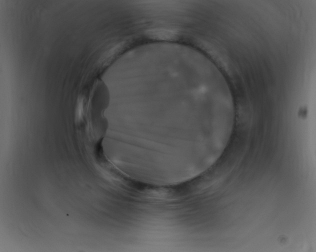 X0000094350069200711241924