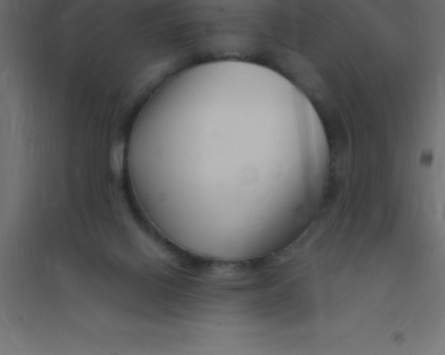 X0000094350070200711241924