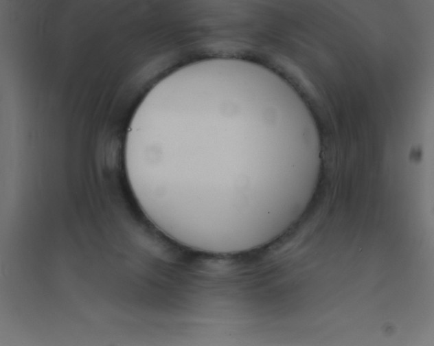 X0000094350071200711241924