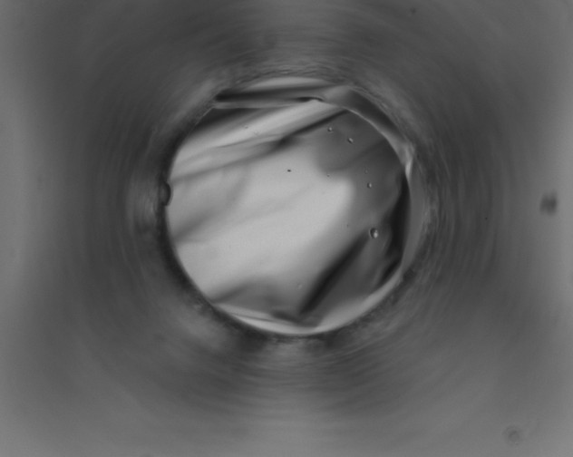 X0000094350072200711241924