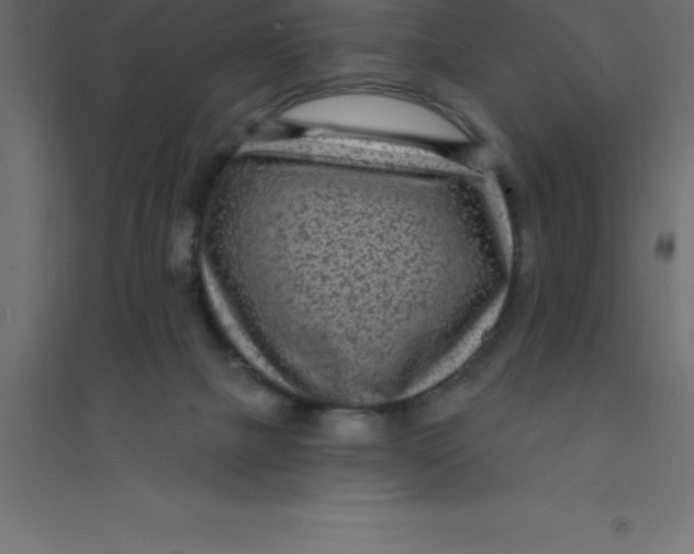 X0000094350073200711241924