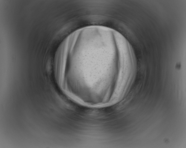 X0000094350074200711241924