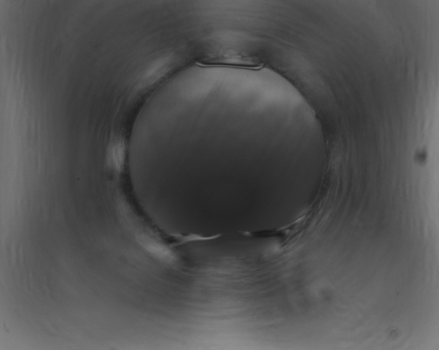 X0000094350076200711241924