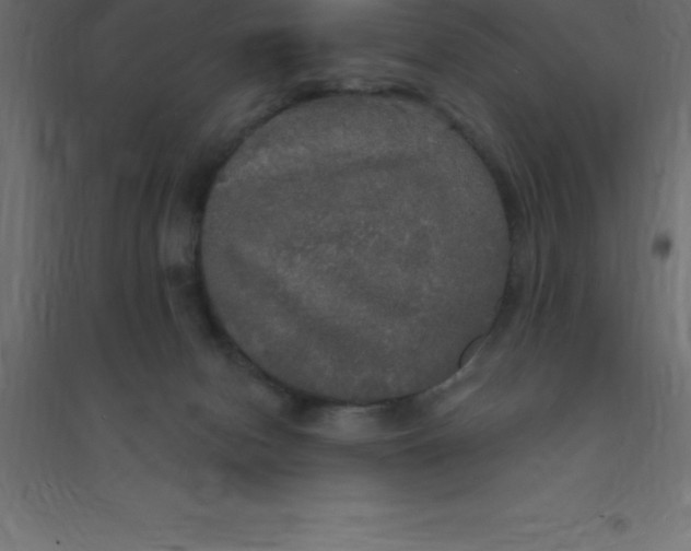X0000094350078200711241924