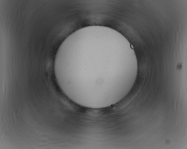 X0000094350079200711241924