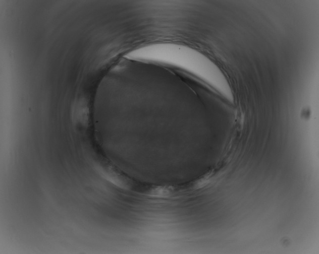 X0000094350080200711241924