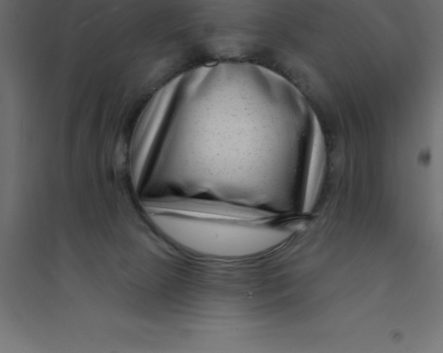 X0000094350081200711241924