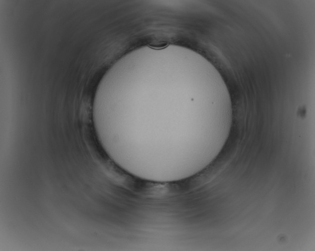 X0000094350083200711241924