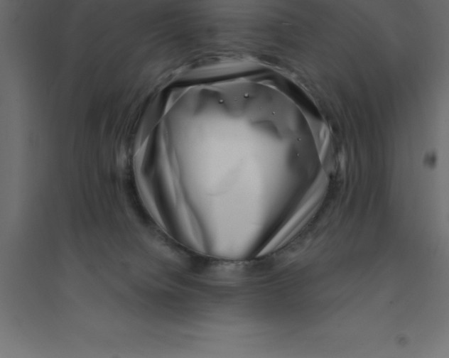 X0000094350084200711241924