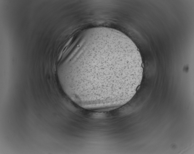 X0000094350085200711241924