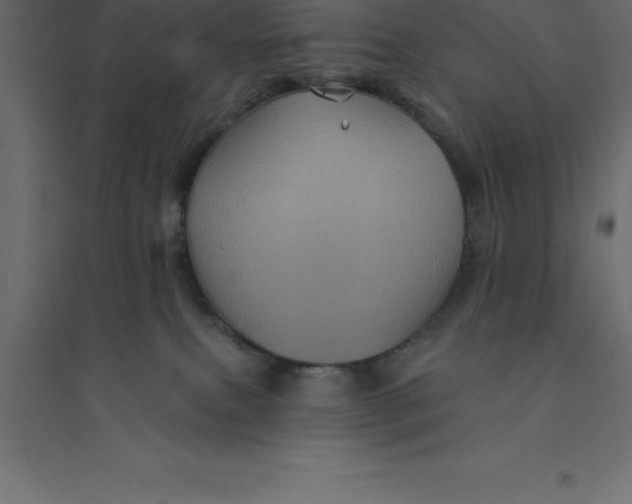 X0000094350087200711241924