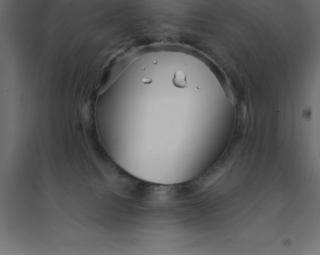 X0000094350088200711241924