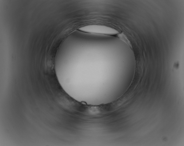 X0000094350091200711241924