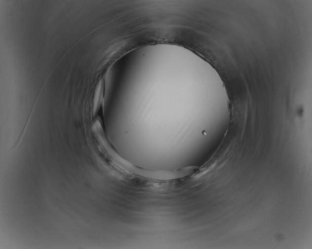 X0000094350092200711241924