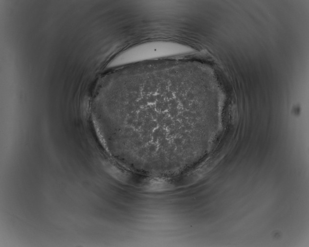 X0000094350093200711241924