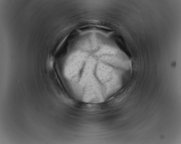 X0000094350095200711241924