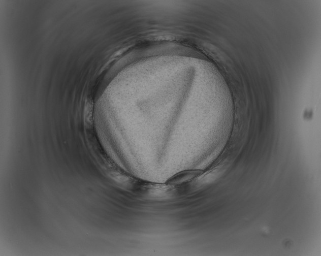 X0000094350096200711241924