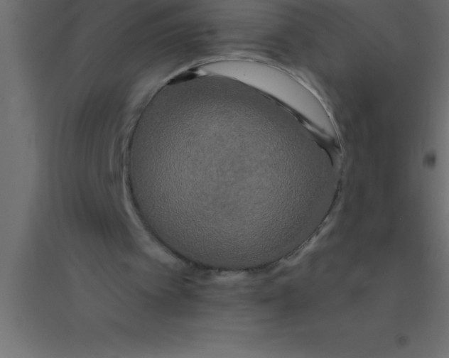 X0000094350097200711241923