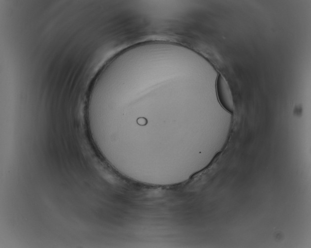 X0000094350098200711241923