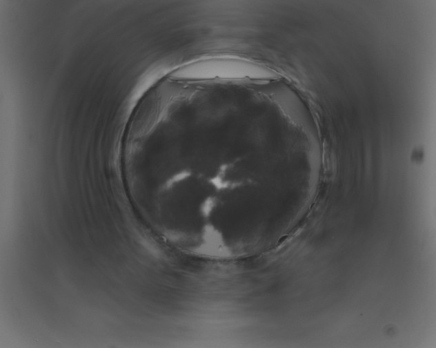 X0000094350099200711241923