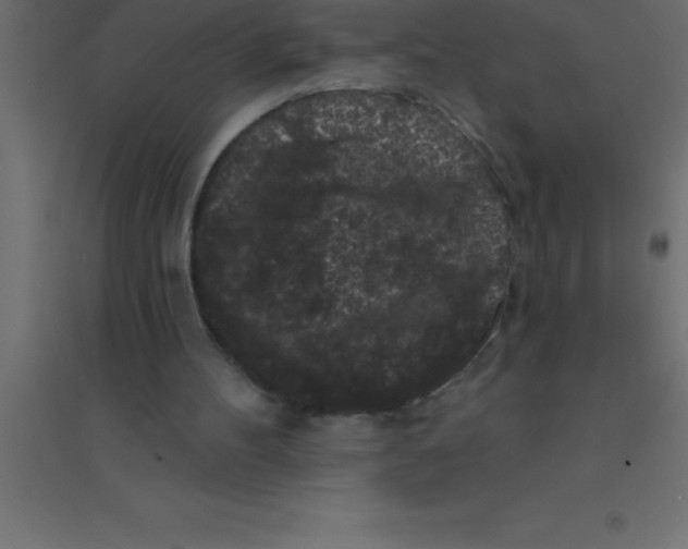 X0000094350100200711241923