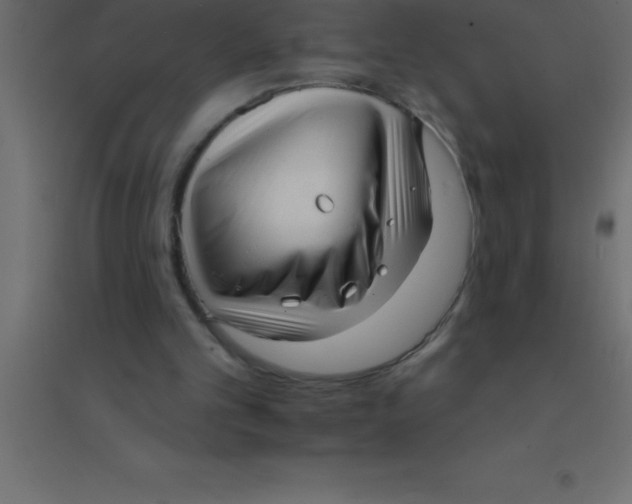 X0000094350101200711241923