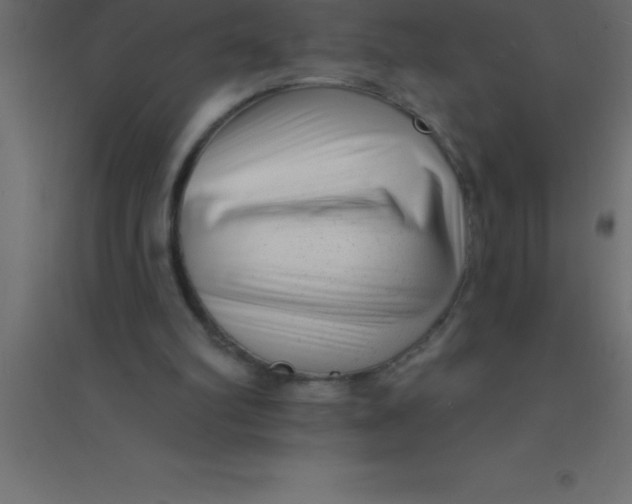X0000094350102200711241923