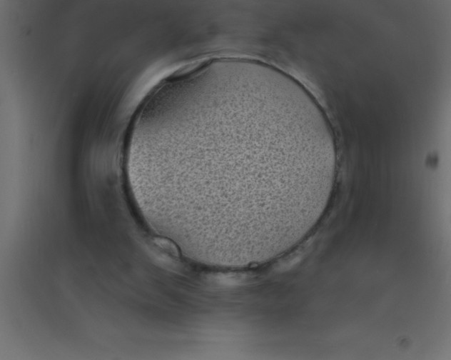 X0000094350103200711241923