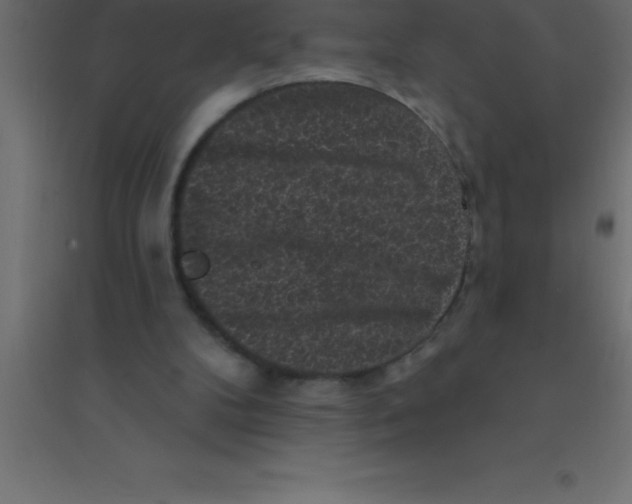 X0000094350104200711241923