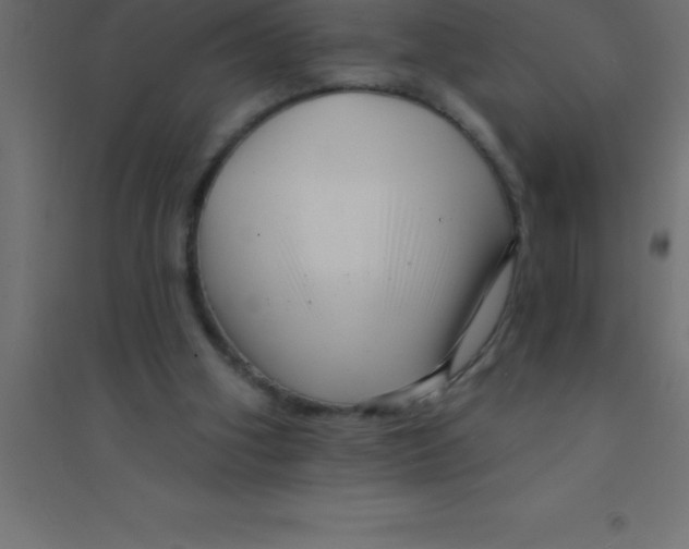 X0000094350106200711241923