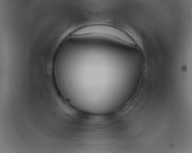 X0000094350107200711241923