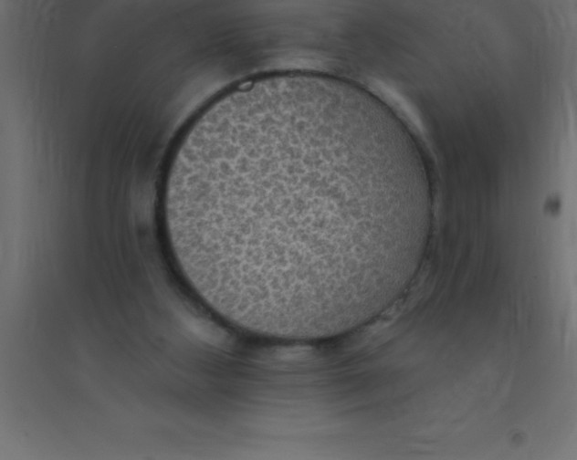 X0000094350108200711241923
