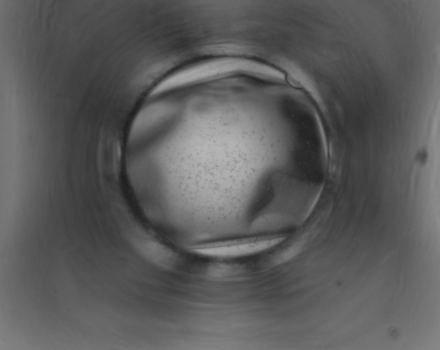 X0000094350109200711241923