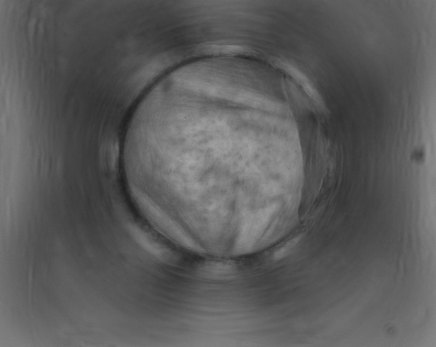 X0000094350110200711241923