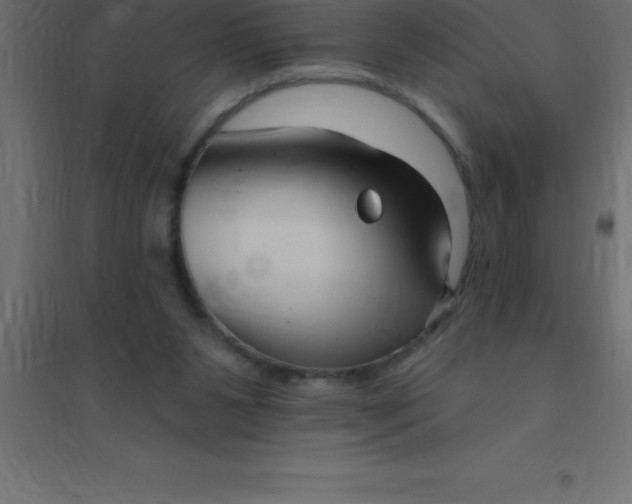 X0000094350111200711241923