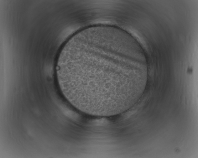 X0000094350112200711241923