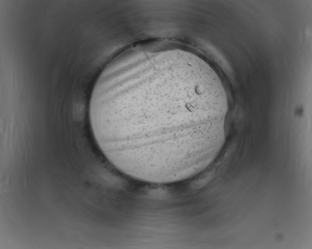 X0000094350113200711241923