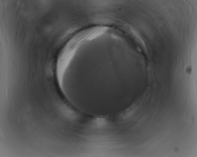 X0000094350114200711241923