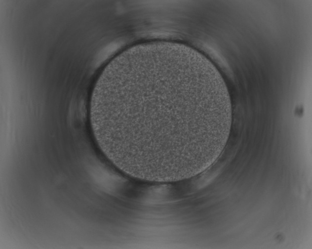 X0000094350116200711241923