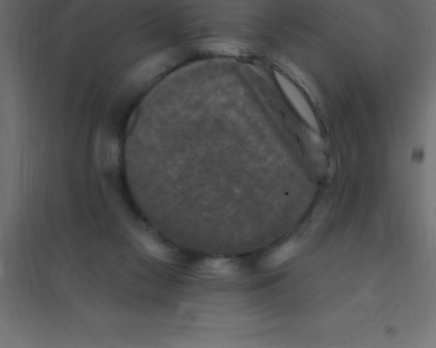 X0000094350117200711241923