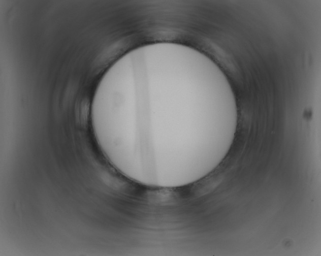 X0000094350118200711241923