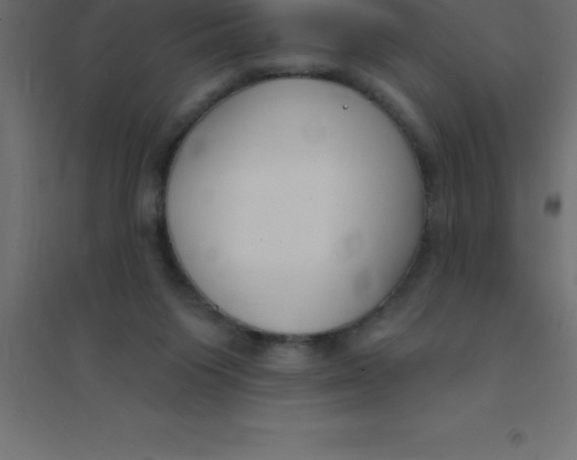 X0000094350119200711241923