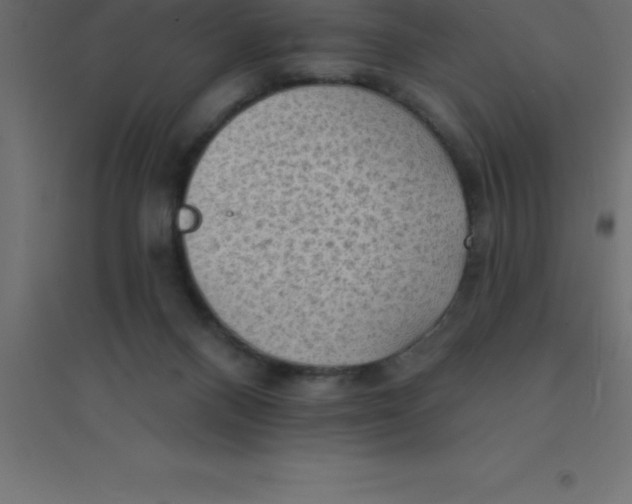 X0000094350120200711241923