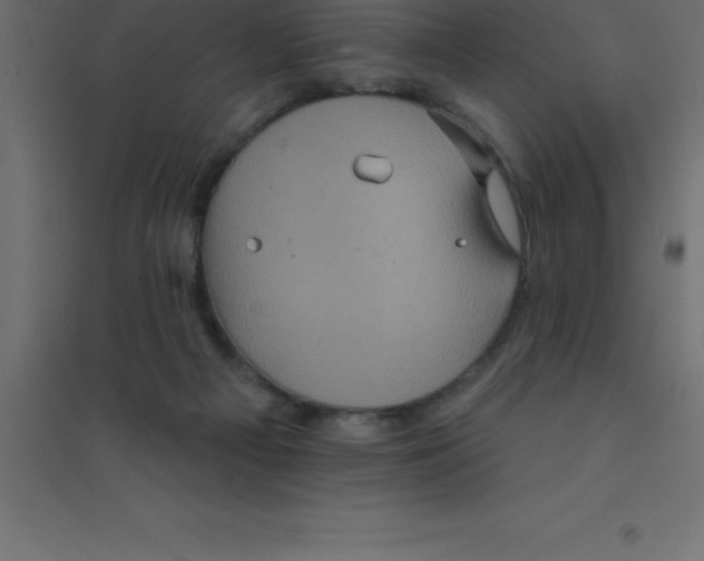 X0000094350121200711241923