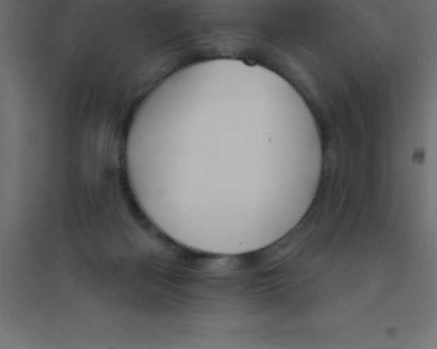 X0000094350122200711241923