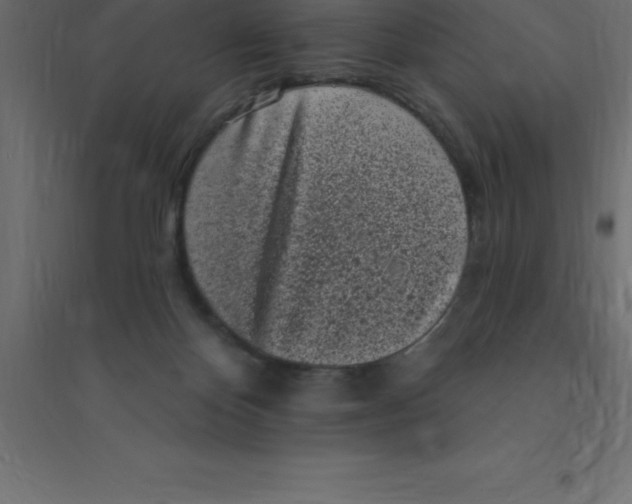 X0000094350124200711241923
