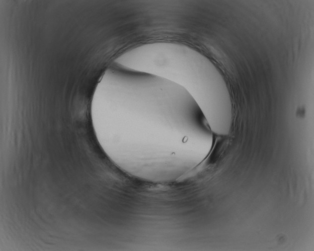 X0000094350125200711241923