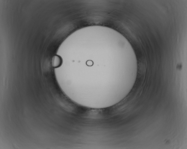X0000094350126200711241923