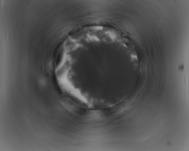 X0000094350127200711241923